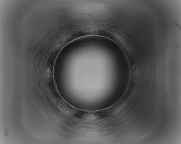 X0000100950597200806241505