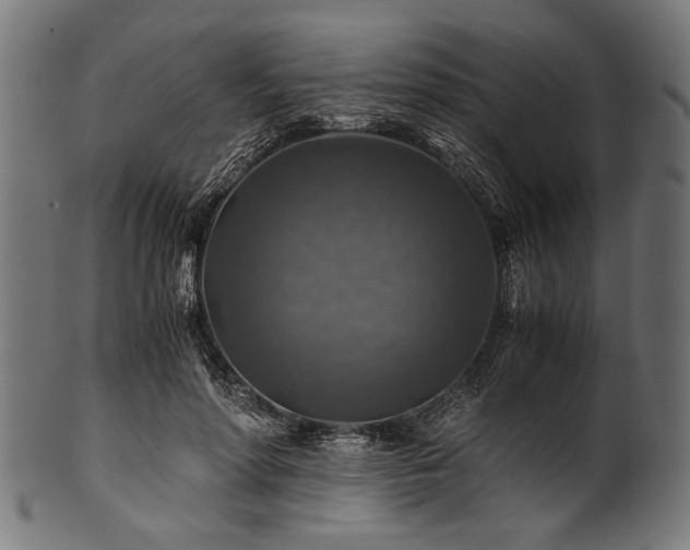 X0000100950598200806241505