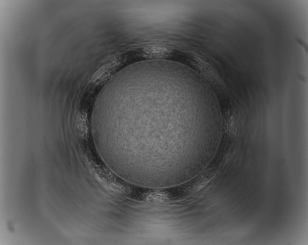 X0000100950599200806241505