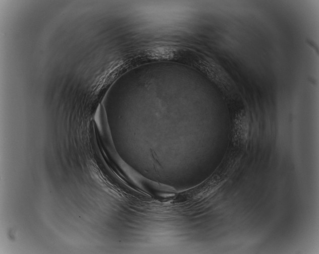 X0000100950600200806241505