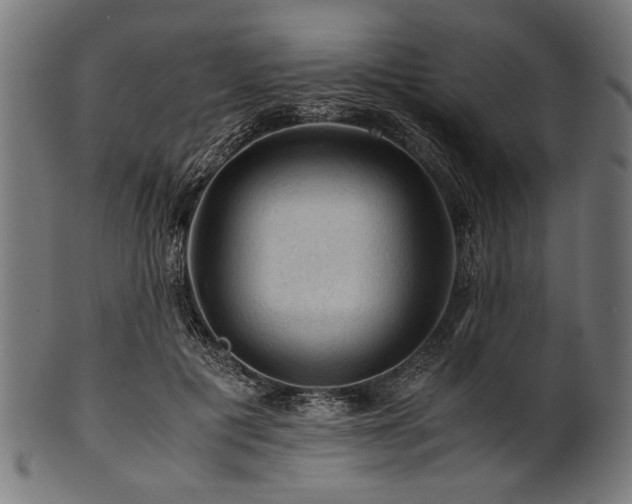 X0000100950601200806241505