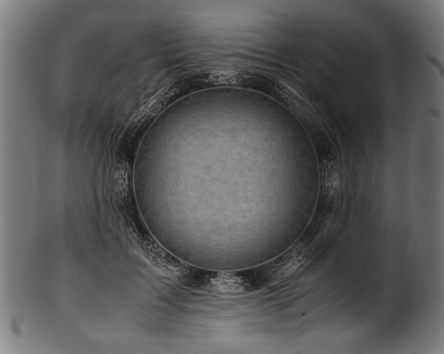 X0000100950603200806241505