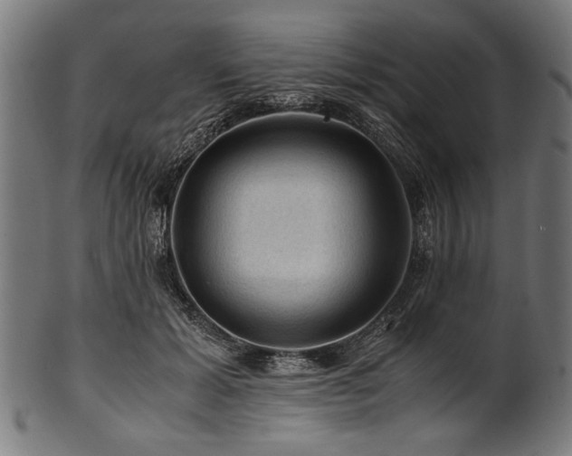 X0000100950605200806241505