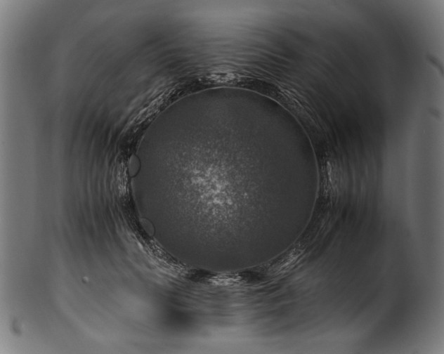 X0000100950606200806241505