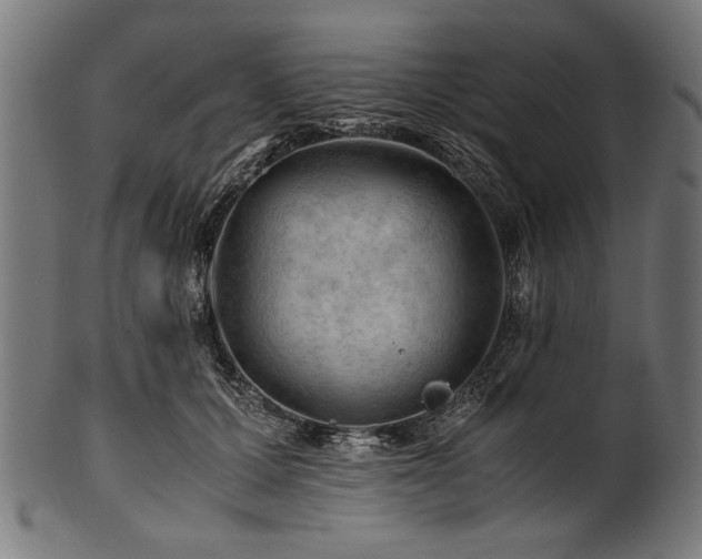 X0000100950607200806241505