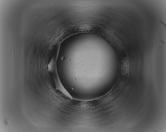 X0000100950608200806241505