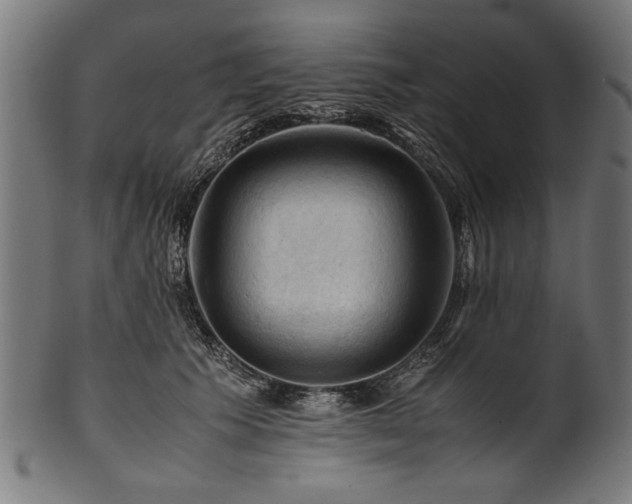 X0000100950609200806241505
