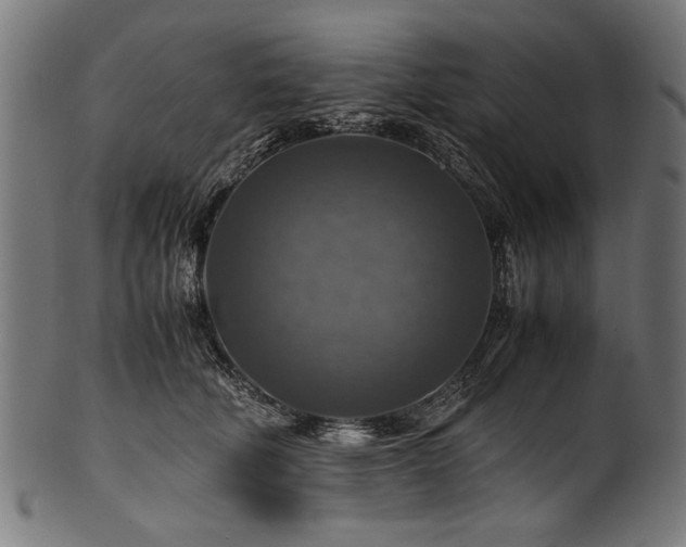 X0000100950610200806241505
