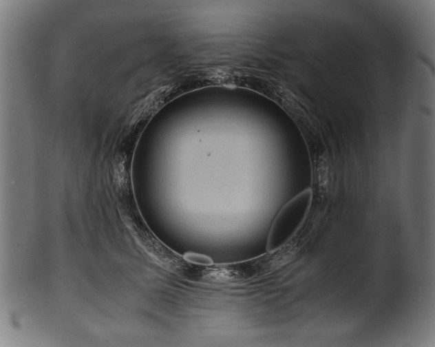 X0000100950611200806241505