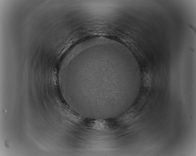 X0000100950612200806241505