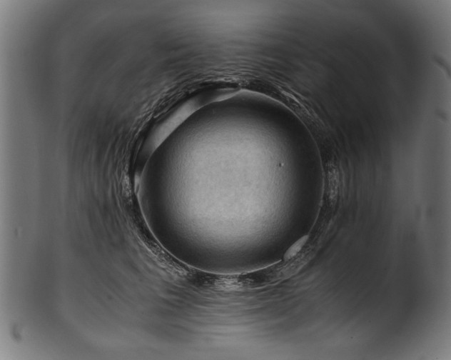 X0000100950613200806241505