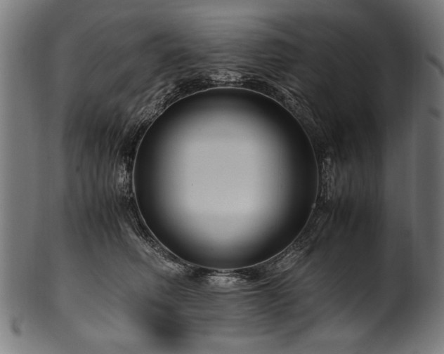 X0000100950614200806241505