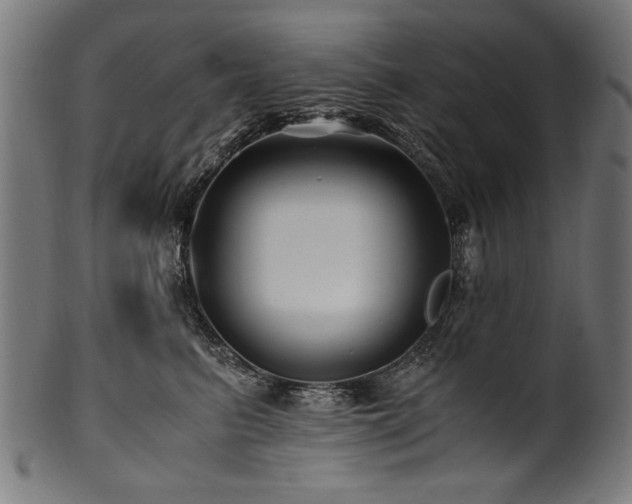 X0000100950615200806241505
