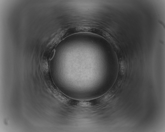 X0000100950617200806241505