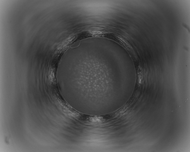 X0000100950618200806241505