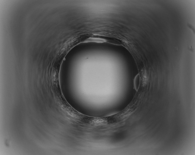 X0000100950619200806241505