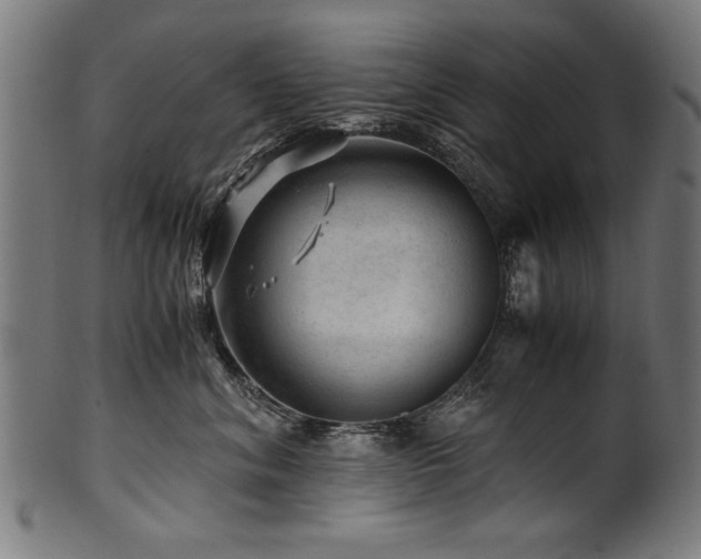 X0000100950620200806241505