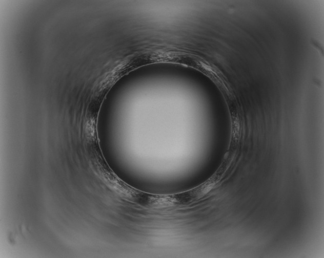 X0000100950621200806241505