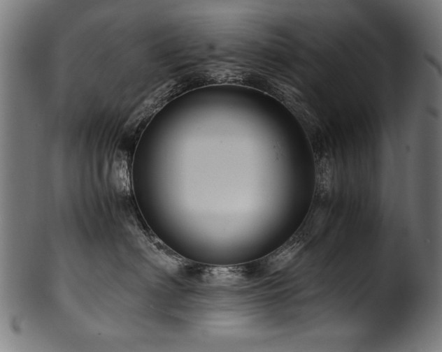 X0000100950622200806241505