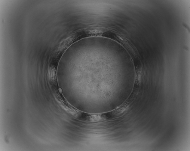 X0000100950623200806241505
