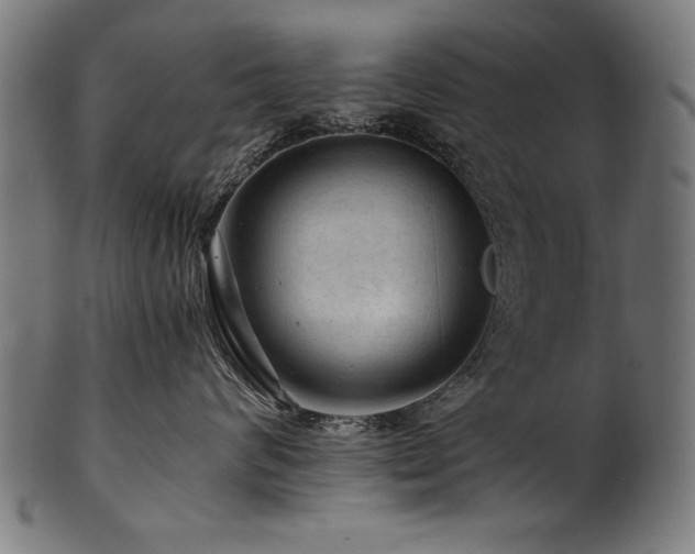 X0000100950624200806241505