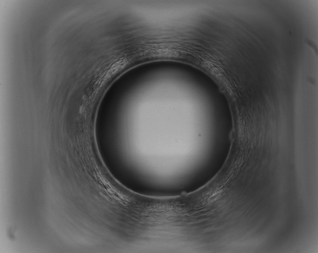 X0000100950625200806241504