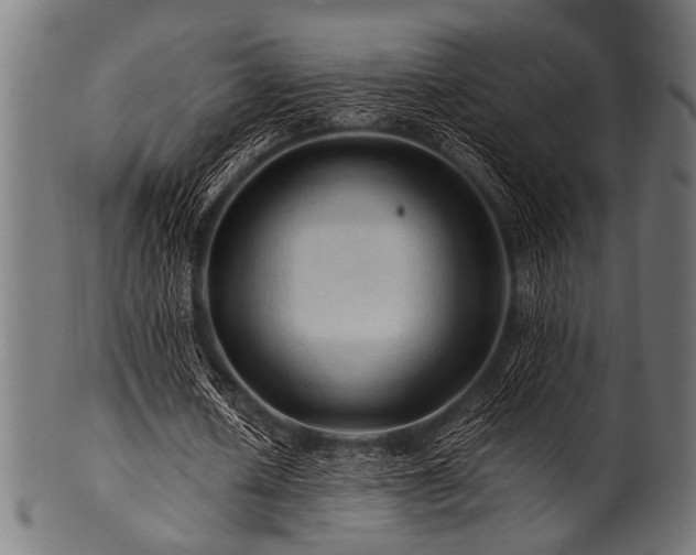 X0000100950626200806241504