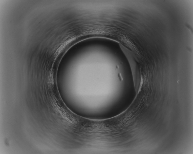 X0000100950628200806241504