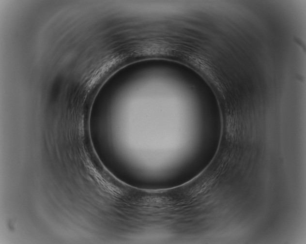 X0000100950629200806241504