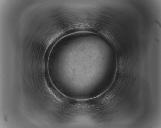 X0000100950630200806241504