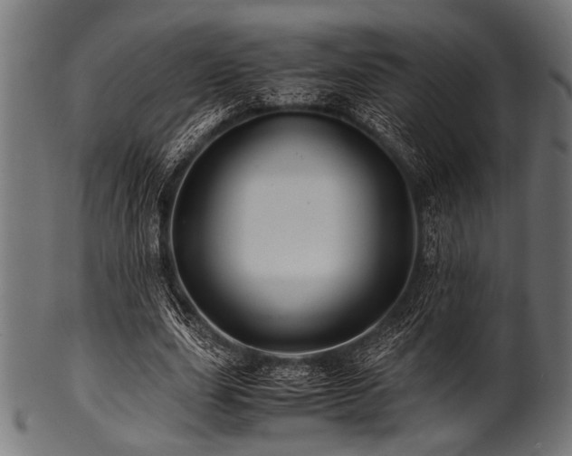 X0000100950631200806241504