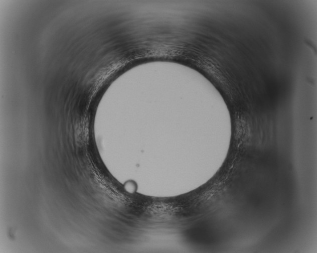 X0000100950632200806241504