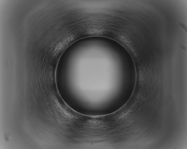X0000100950633200806241504