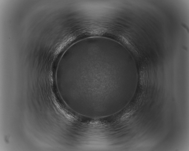 X0000100950634200806241504