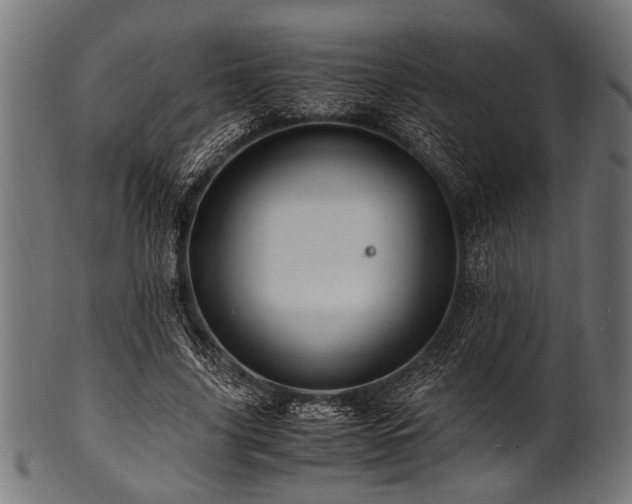 X0000100950635200806241504