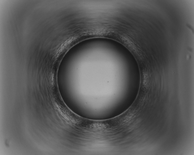 X0000100950636200806241504