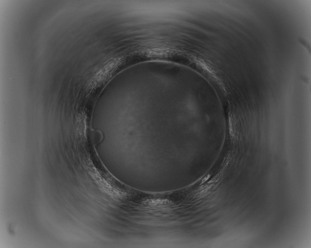 X0000100950637200806241504