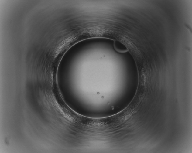 X0000100950638200806241504