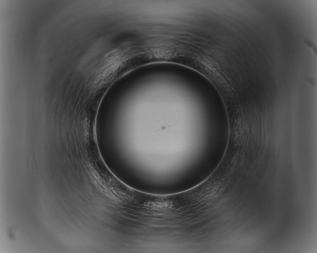 X0000100950639200806241504