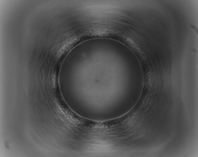X0000100950640200806241504