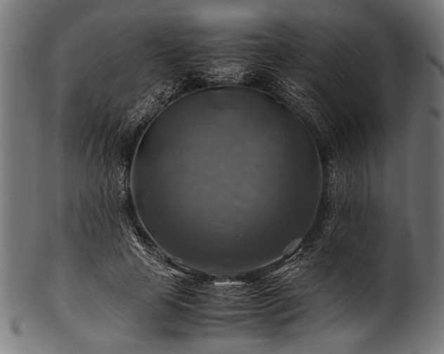 X0000100950641200806241504