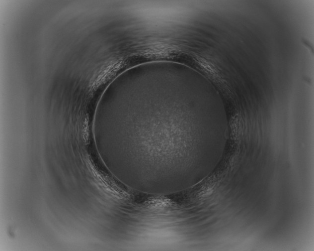 X0000100950642200806241504