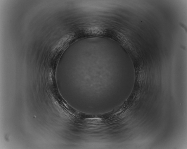 X0000100950643200806241504
