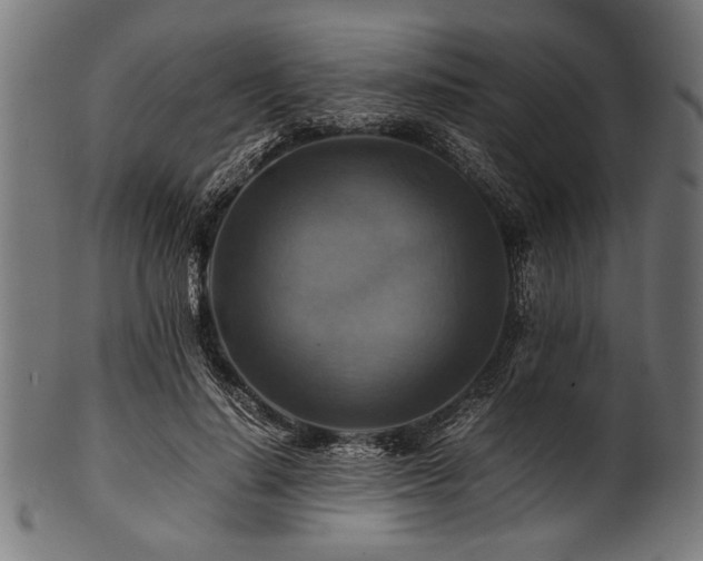 X0000100950644200806241504
