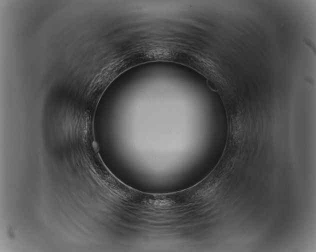X0000100950645200806241504