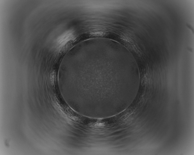 X0000100950647200806241504