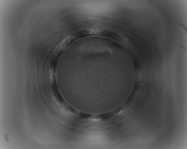 X0000100950648200806241504