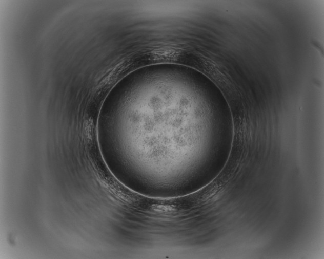 X0000100950649200806241504