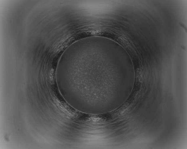 X0000100950650200806241504