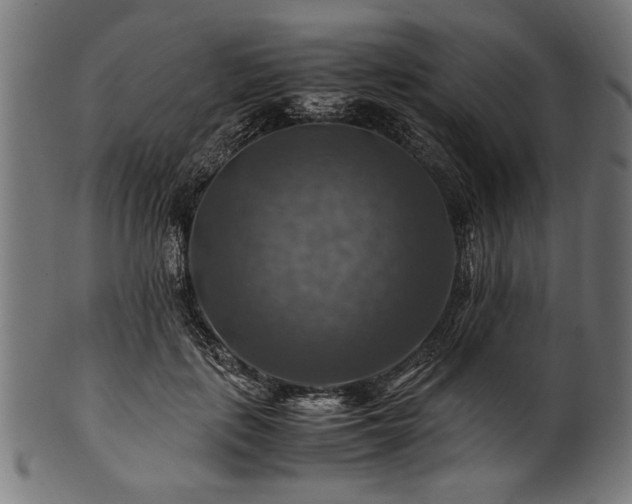 X0000100950651200806241504